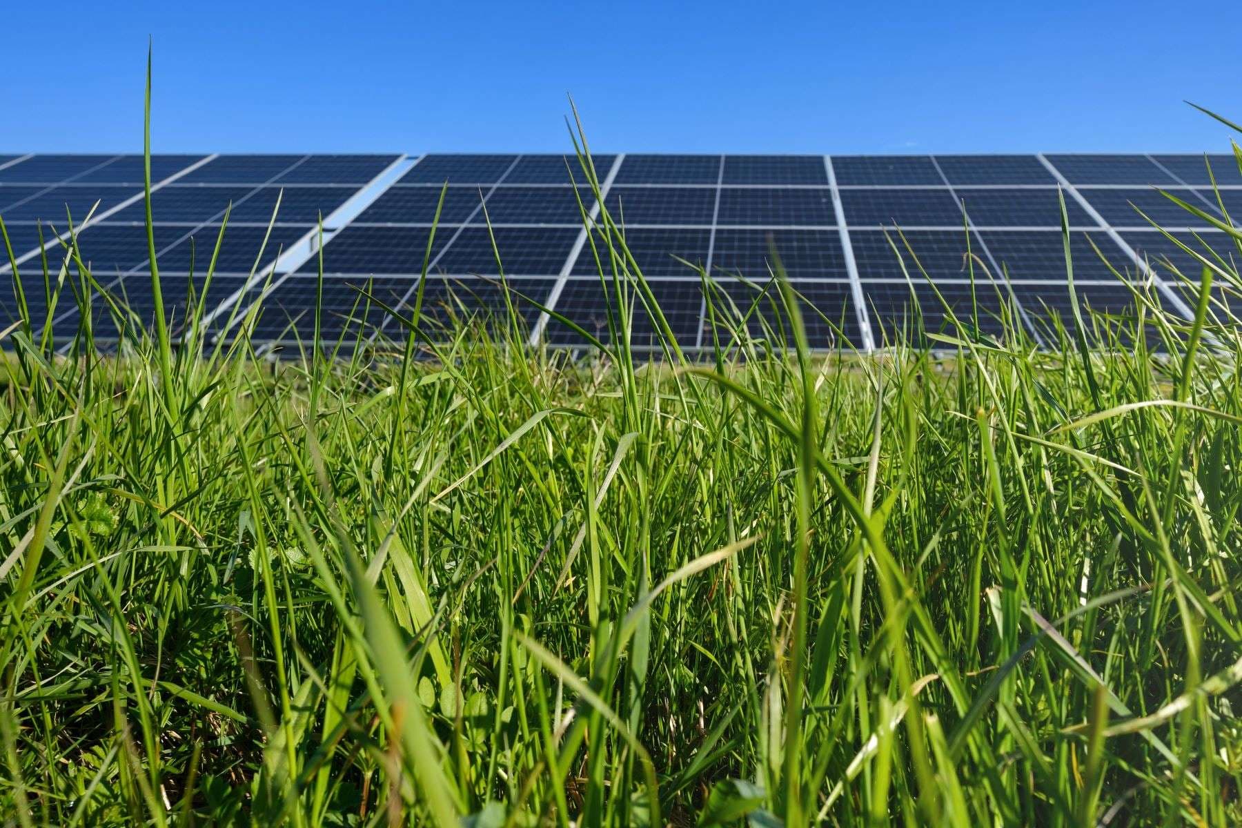 shutterstock_2456870875 smaller