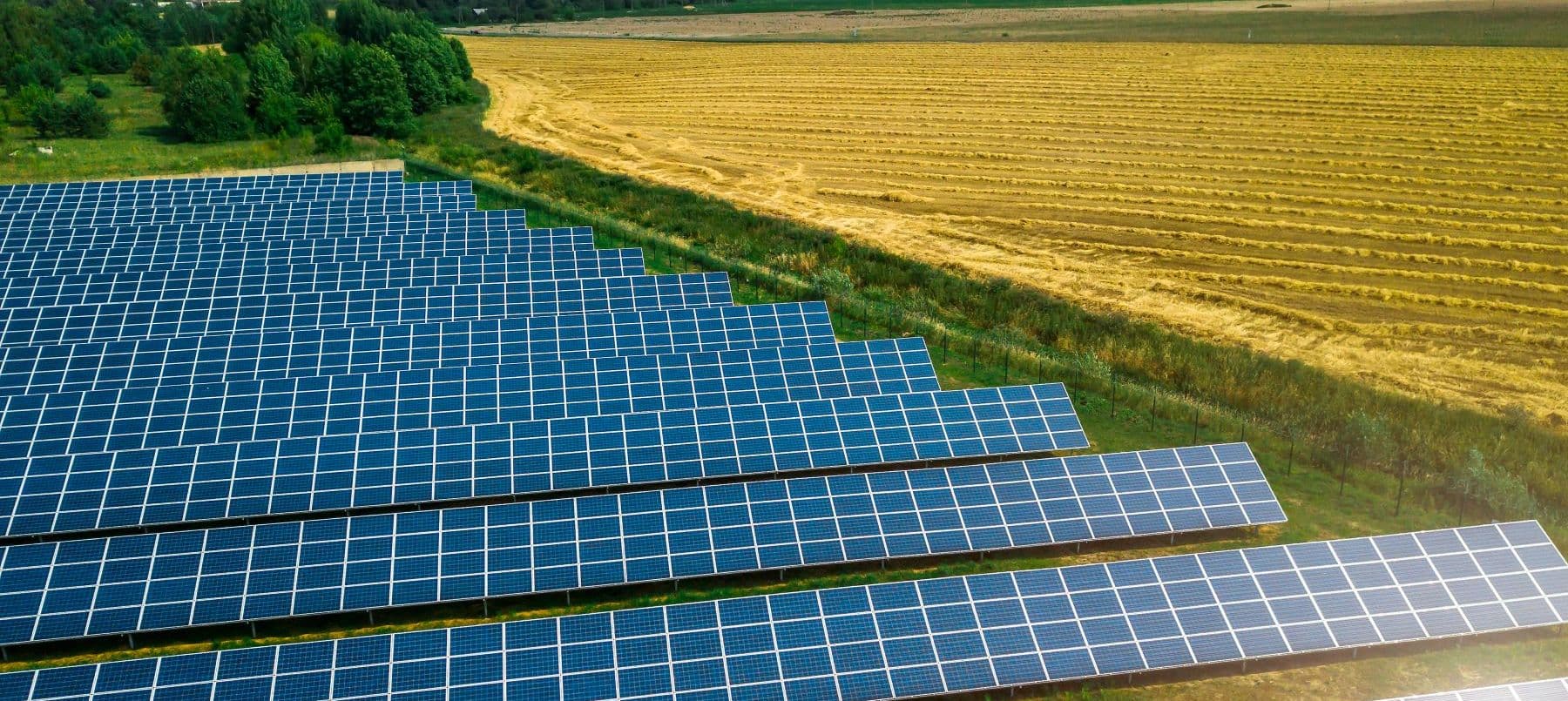 Solar panels in field